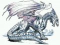 WHITE DRAGON.jpg